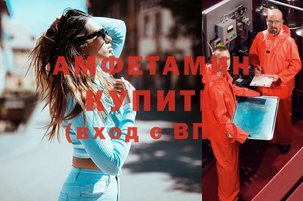 стаф Кодинск