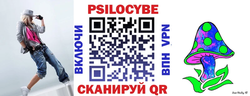 купить наркоту  OMG tor  Псилоцибиновые грибы мицелий  Юрга 