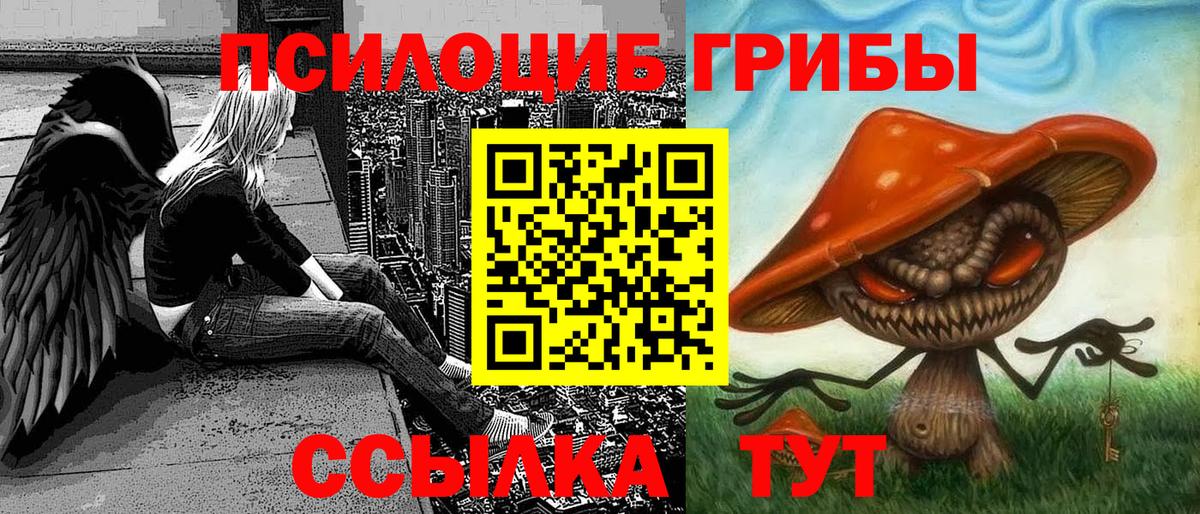 Галлюциногенные грибы прущие грибы  Вход с VPN  Галлюциногенные грибы MAGIC MUSHROOMS  Юрга 