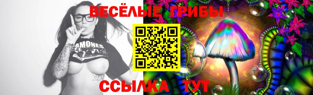 Галлюциногенные грибы GOLDEN TEACHER Юрга